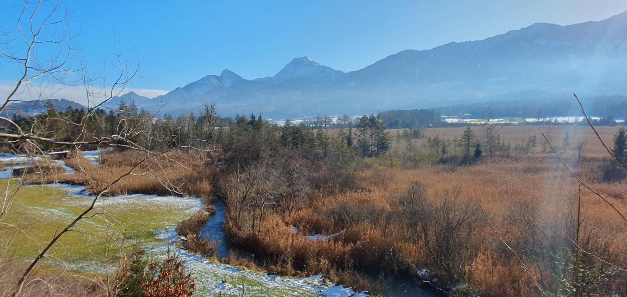Das Stille Paradies Ledenitzen Bagian luar foto