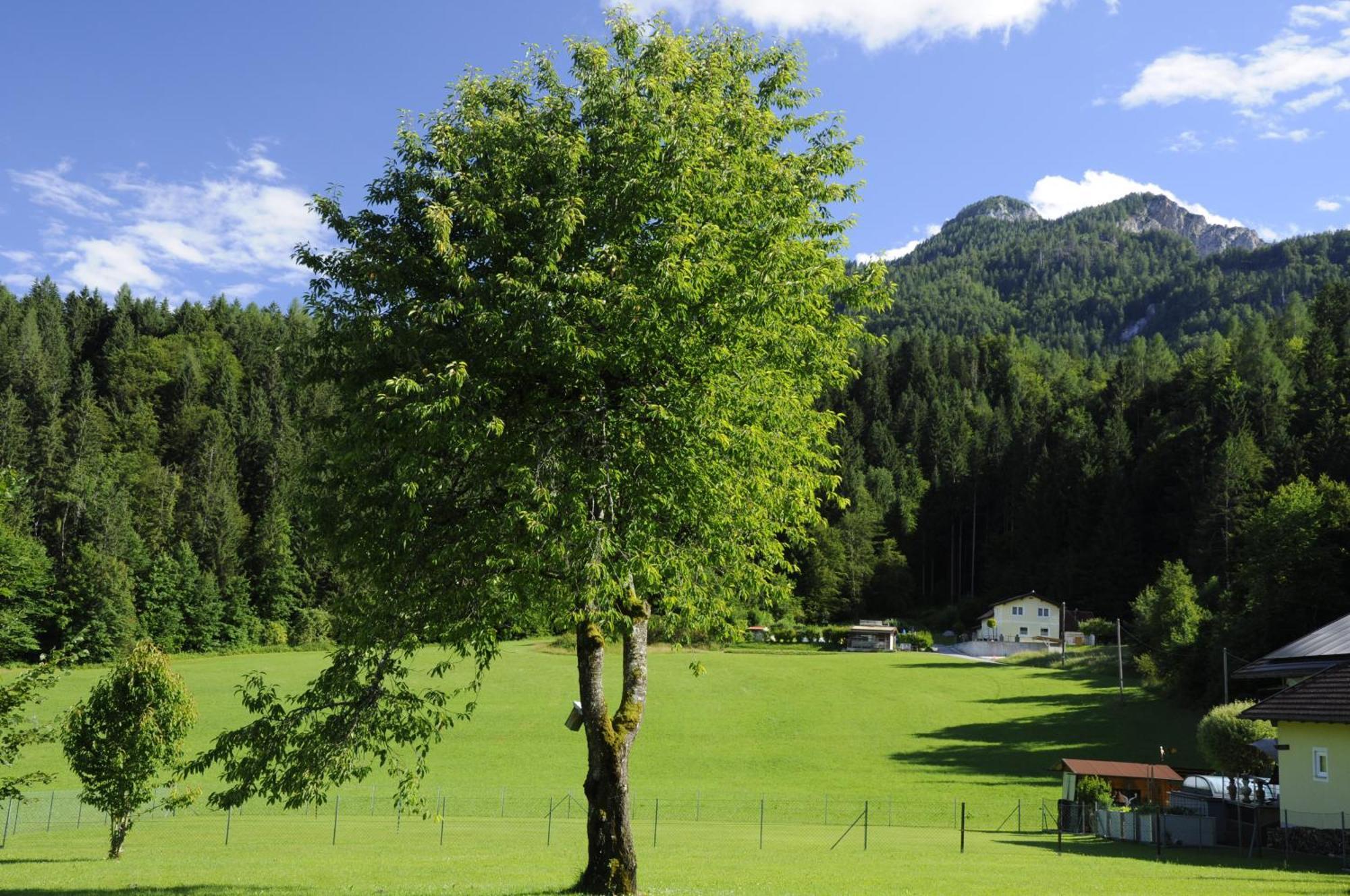 Das Stille Paradies Ledenitzen Bagian luar foto