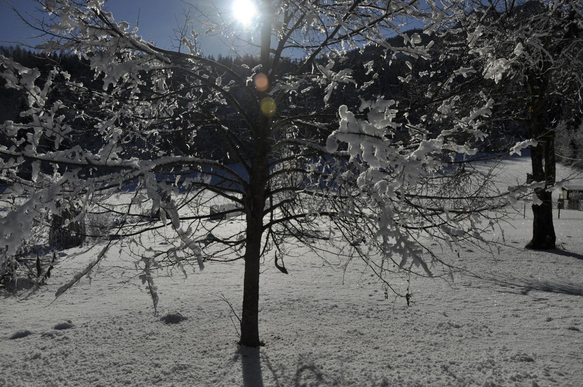Das Stille Paradies Ledenitzen Bagian luar foto